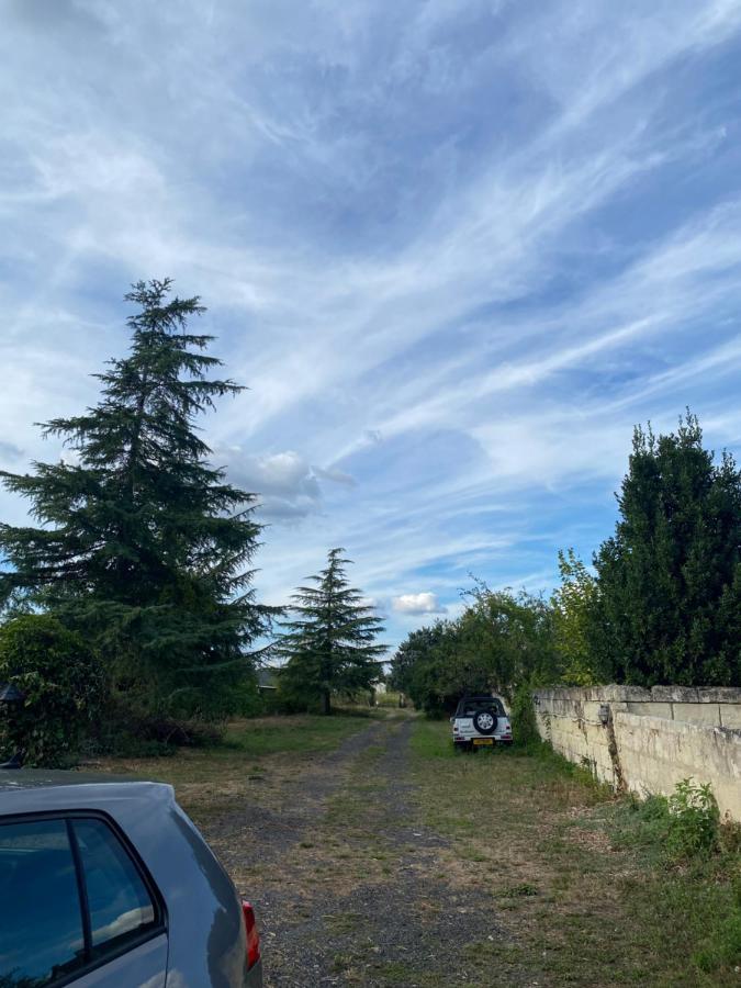 Gites De La Levee Chouze-sur-Loire Bagian luar foto